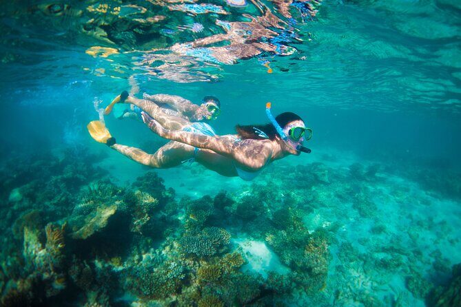 7-Day Exmouth Explorer via Pinnacles Monkey Mia Ningaloo Reef returning to Perth - An In-Depth Look at the 7-Day Itinerary