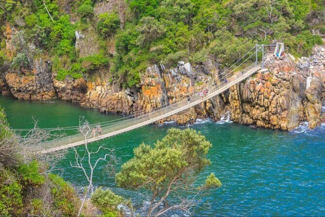 7-Day Garden Route Safari Adventure from Cape Town - The Final Day: Return to Cape Town