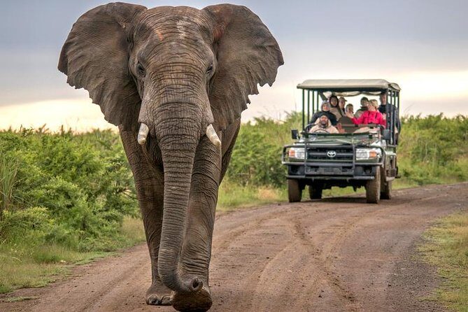 7 Day Garden Route to Addo, Cape Point and Winelands Combo tour - FAQs
