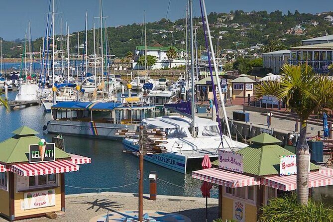 7-Day Garden Route & Wild Coast Cape Town to Durban Tour - A Closer Look at the Itinerary