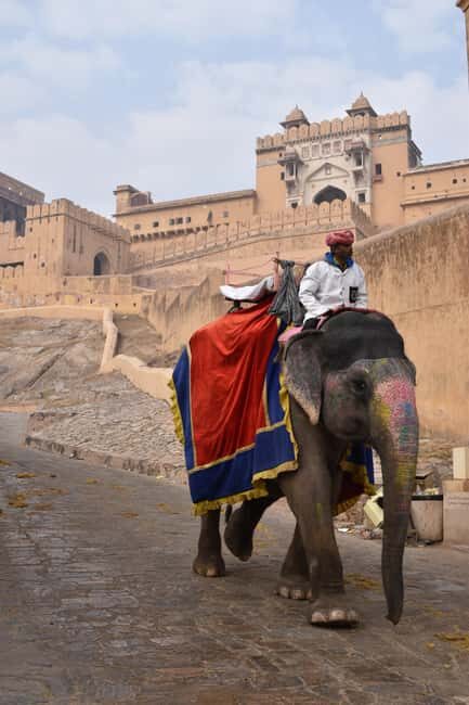 7-Day Golden Triangle Jodhpur Udaipur Tour from Delhi - A Closer Look at the Itinerary