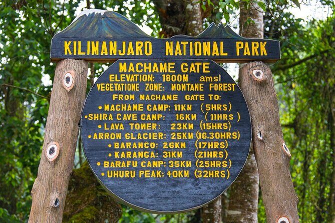 7-Day Guided Mount Kilimanjaro Climb by Machame Route - An In-Depth Look at the 7-Day Machame Route Kilimanjaro Tour