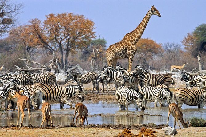 7 Day Guided Safari Tour in Kenya and Tanzania - Detailed Day-by-Day Breakdown