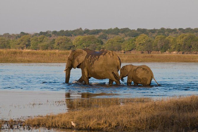 7 Day Guided Safari Tour in Kenya and Tanzania - Who Is This Tour Best For?