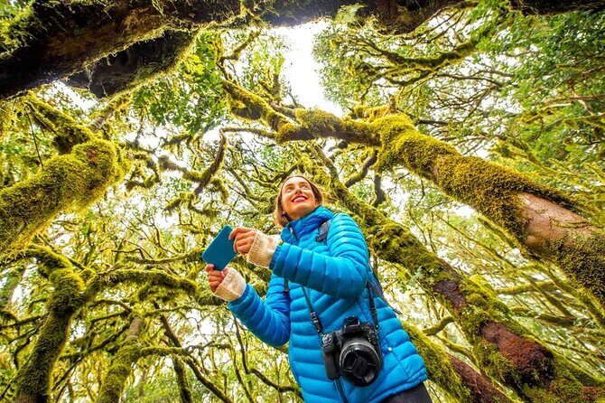 7 Day Guided Small Group Tour On Vancouver Islands West Coast - Day 5: Southward into Hidden Coastal Gems