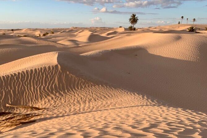 7 Day Guided Tunisia Tour Including Pickup - Key Points