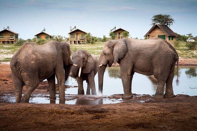 7 Day Highlights Of Botswana Overland Tour ACCOMODATED (midrange) - Key Points