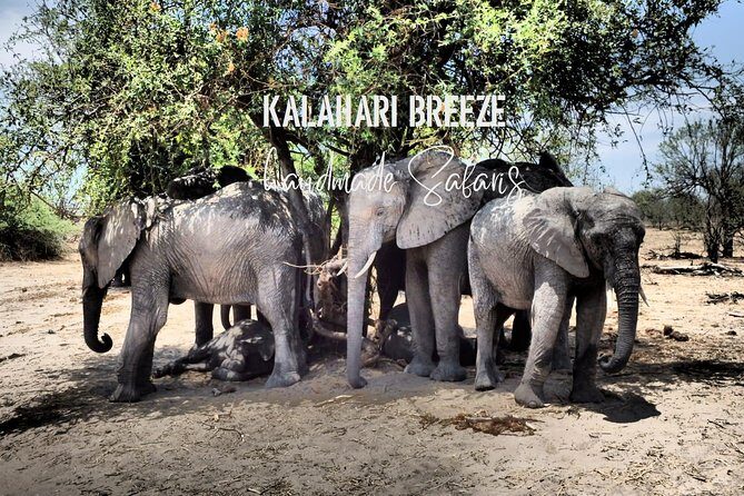 7 Day Highlights Of Botswana Overland Tour ACCOMODATED (midrange) - FAQs