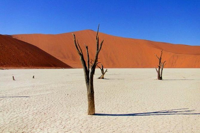 7 Day - Kalahari TOP attractions - Final Thoughts: Is This Tour for You?