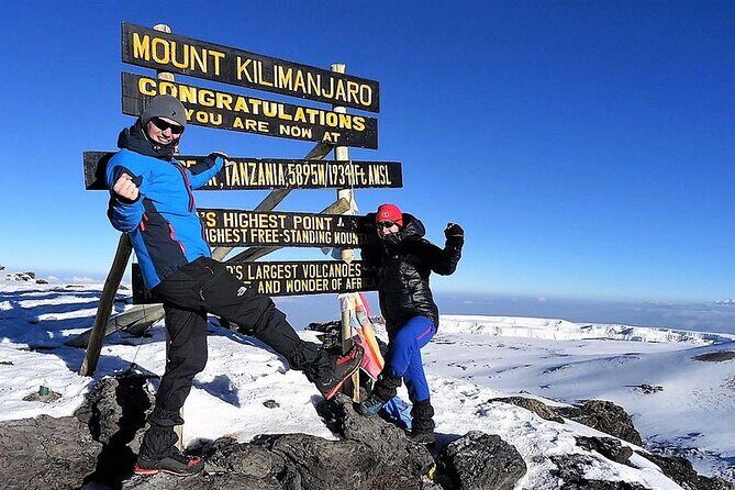 7-Day Kilimanjaro Climbing Via Machame Route - Day 2: Moving into Moorland and Heather Zones