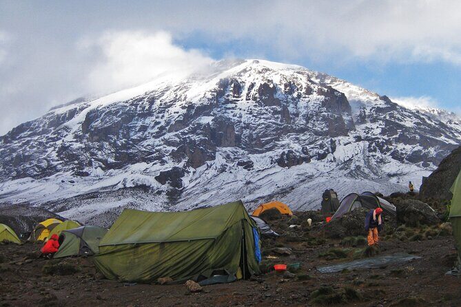 7-Day Kilimanjaro Climbing Via Machame Route - Day 3: The Lava Tower and Desolate Plains