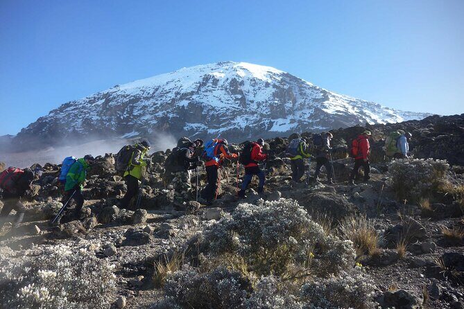 7-Day Kilimanjaro Climbing Via Machame Route - Day 4: Crossing the Barranco Wall