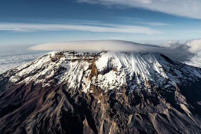 7-Day Kilimanjaro Climbing Via Machame Route - Day 7: Descent and Celebration