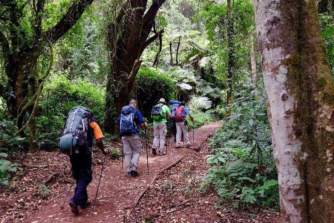 7-Day Kilimanjaro ClimbLemosho R. Scenic Adventure to the summit - The Route and What It Means for You