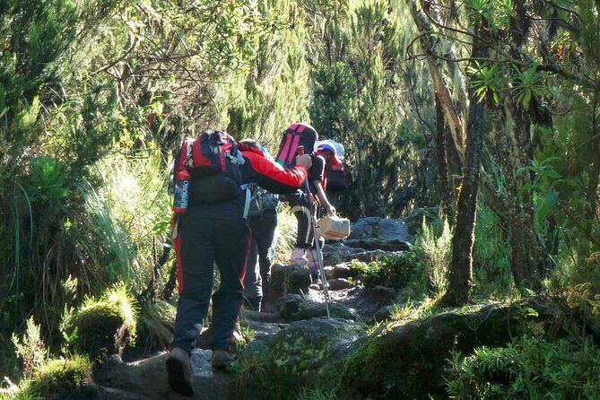 7 Day Kilimanjaro Machame climb - Frequently Asked Questions