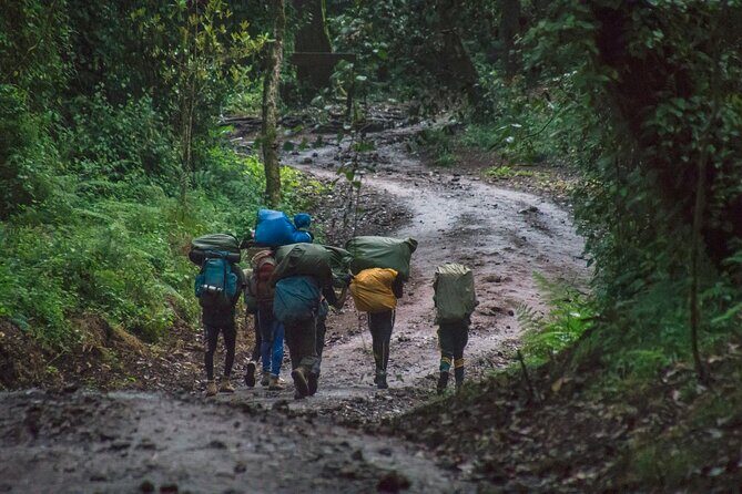 7 Day Kilimanjaro Machame climb - Wrapping It Up