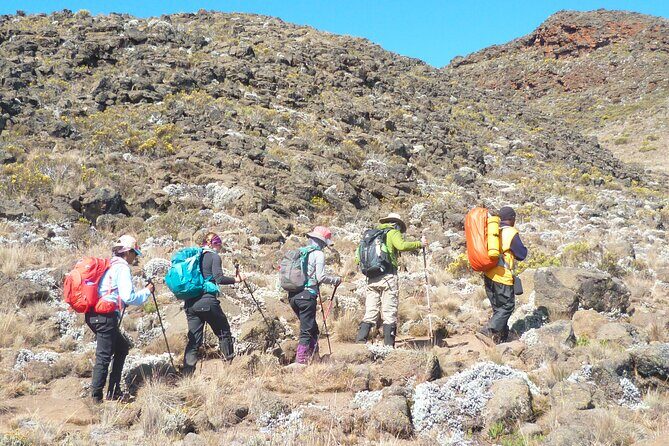7 Day Kilimanjaro Rongai climb - Frequently Asked Questions