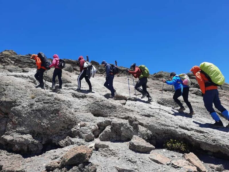 7-Day: Kilimanjaro Trek via Machame Route - The Adventure Begins: Day-by-Day Breakdown