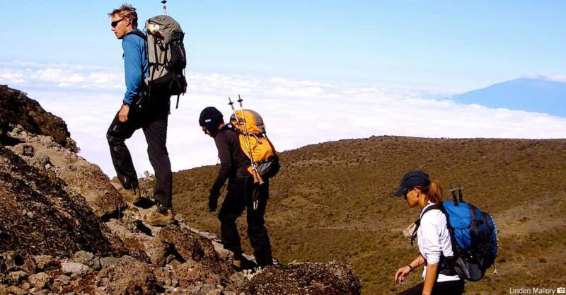 7-Day: Kilimanjaro Trek via Machame Route - Authentic Experiences and Honest Reflections