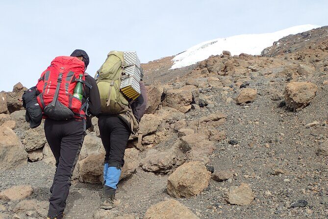 7-Day Kilimanjaro Trekking Tour via Machame Route - The Sum Up