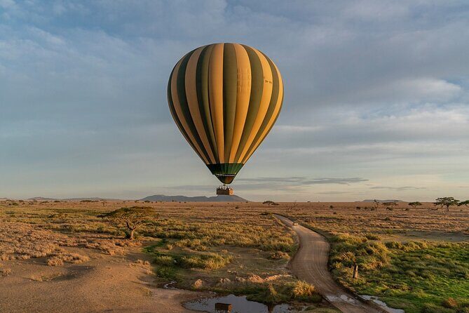 7-Day Lake Manyara, Ngorongoro Crater and Serengeti Private Tour - Final Thoughts