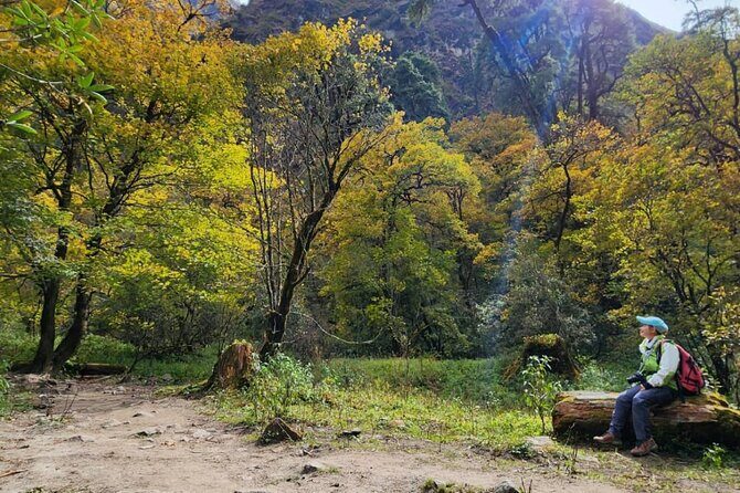 7-Day Langtang Valley Trek from Kathmandu - The Basics: What to Expect