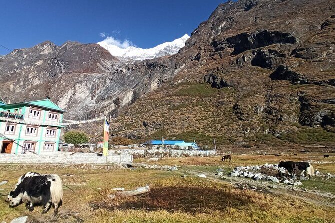 7-Day Langtang Valley Trek from Kathmandu - Practical Tips for Future Trekkers