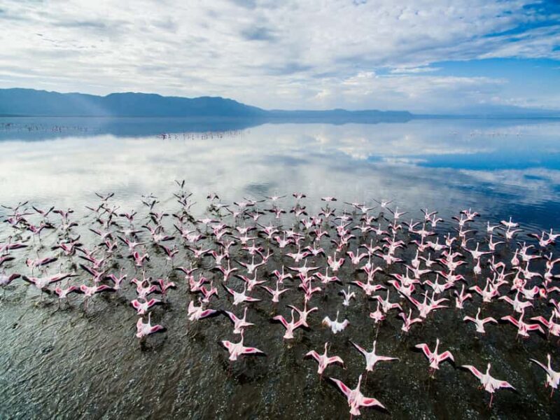 7-Day Luxury Serengeti Safari & Balloon Adventure - Cultural and Scenic Highlights