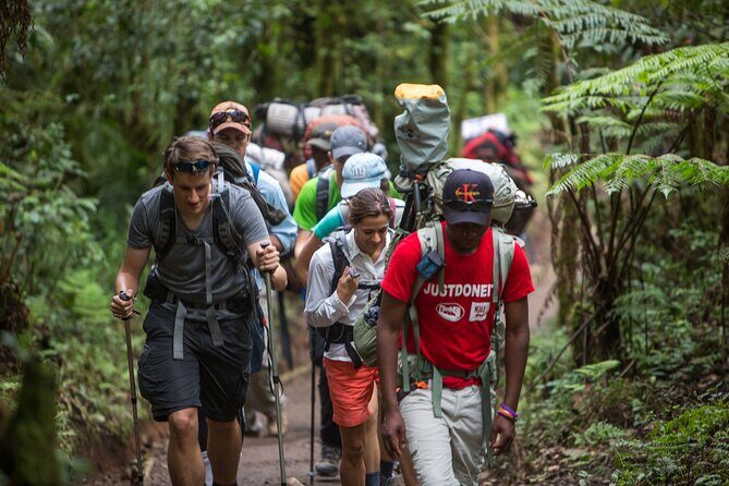 7-Day Machame Kilimanjaro Summit Tour from Arusha - The Sum Up