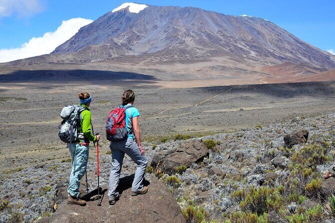7-Day Mountain Climbing in Machame Route - An Honest Breakdown of the Itinerary