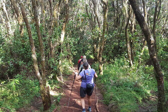 7-Day Mountain Climbing in Machame Route - Concluding Thoughts