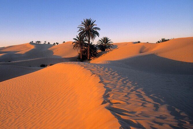 7-Day Northern South Tour from Tunis - Final Thoughts