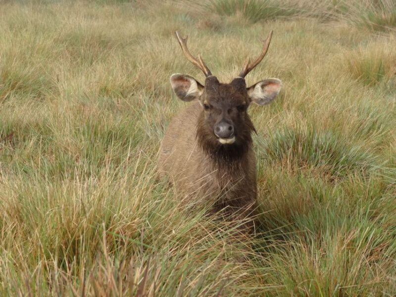 7-Day Off The Beaten Nature and Wildlife tour - Key Points