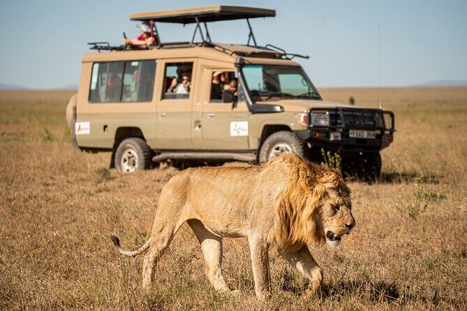 7-Day Premium Luxury Tanzania Safari All-Inclusive - Key Points