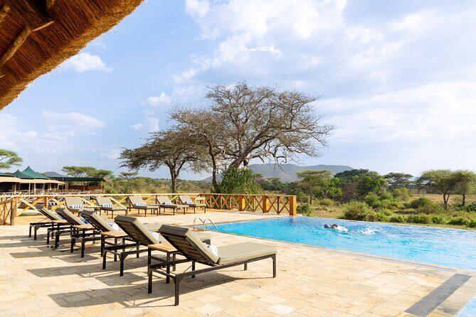 7-Day Premium Luxury Tanzania Safari All-Inclusive - The Experience in Detail