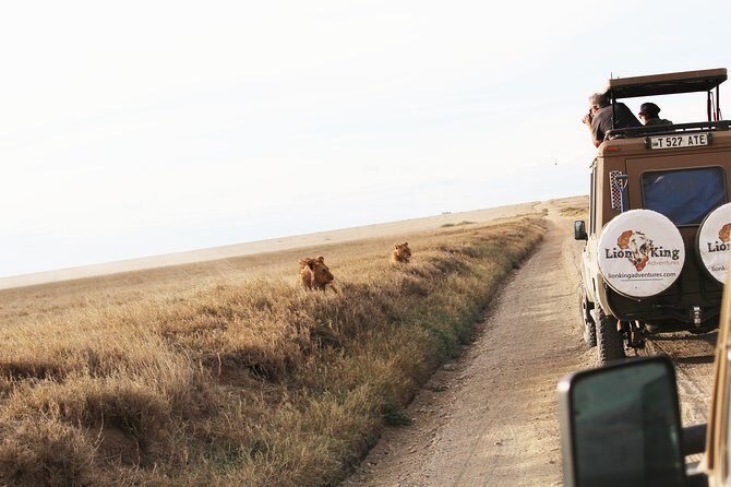 7-Day Premium Luxury Tanzania Safari All-Inclusive - Who Is This Tour Best For?