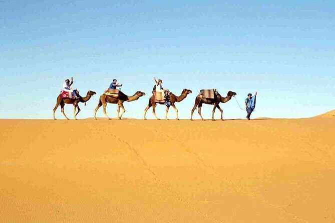 7-Day Private Guided Desert Tour from Casablanca to Marrakech - FAQ
