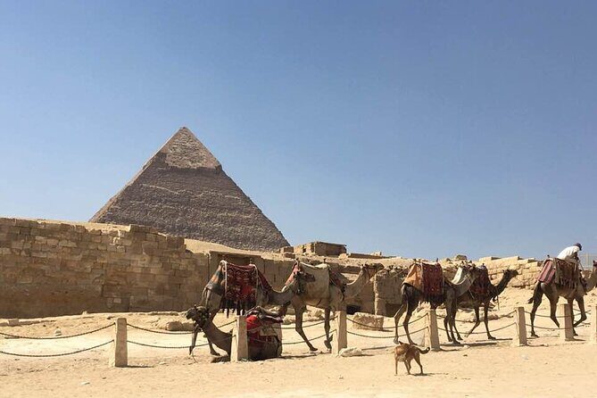 7-Day Private Guided Tour in Cairo, Luxor and Aswan - An In-Depth Look at the 7-Day Itinerary