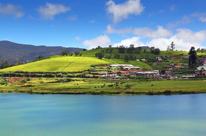 7 Day Private Guided Tour in Sri Lanka - Key Points