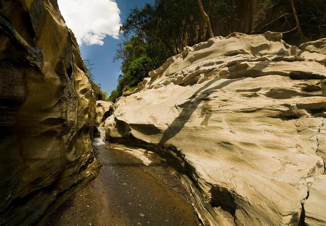7 Day Private Jeep Safari, 5 star lodges with Balloon Ride Kenya - Key Points