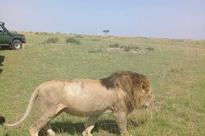 7 Day Private Jeep Safari, 5 star lodges with Balloon Ride Kenya - A Look at the Itinerary