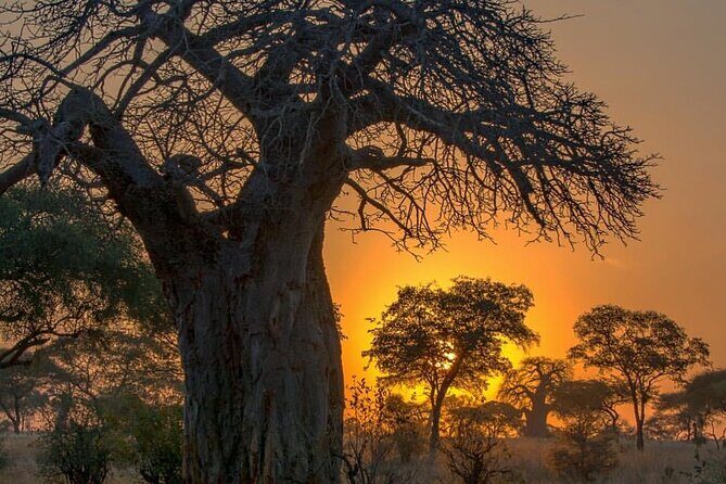 7-Day Private midrange Tour in Arusha with Airport Pickup - Key Points