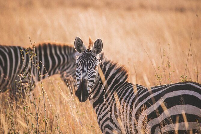 7-Day Private midrange Tour in Arusha with Airport Pickup - An In-Depth Look at the Tour Experience