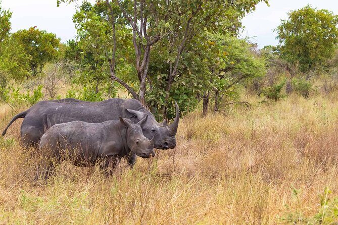7-Day Private Tour in Kenya National Parks From Nairobi / Mombasa - An In-Depth Look at the Itinerary