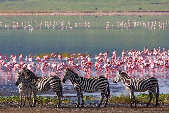 7-Day Private Uganda Gorilla Tracking Safari Tour From Entebbe - Who Will Love This Tour?