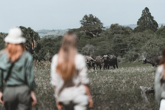 7 Day Safari in Tanzania National Parks - Exploring the Itinerary in Depth