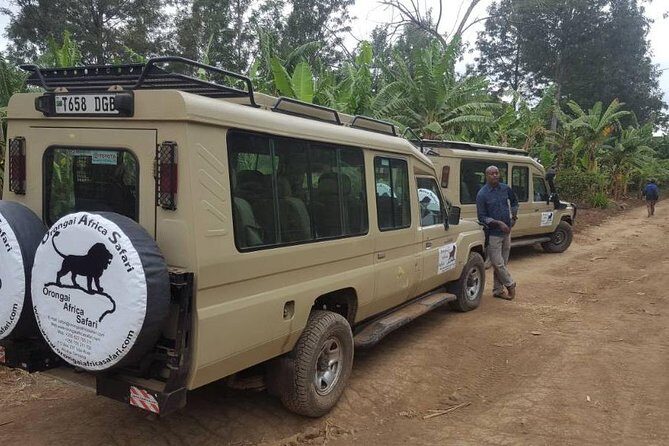 7-Day Safari (Including Serengeti) & Zanzibar Extension - Who Will Love This Tour?