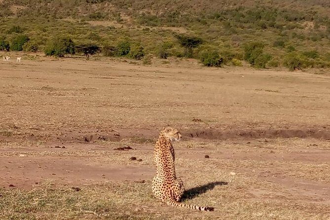 7-Day Samburu, Maasai Mara, L Nakuru, Lake Naivasha Hell's Gate - The Sum Up