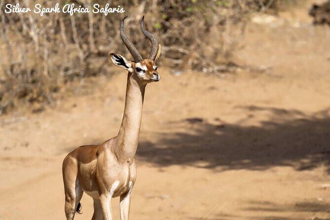 7-Day Samburu, Maasai Mara, L Nakuru, Lake Naivasha Hell's Gate - FAQ