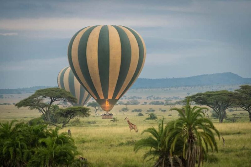 7-Day Serengeti Safari and Zanzibar Beach Tour - Diving into the Itinerary: What to Expect